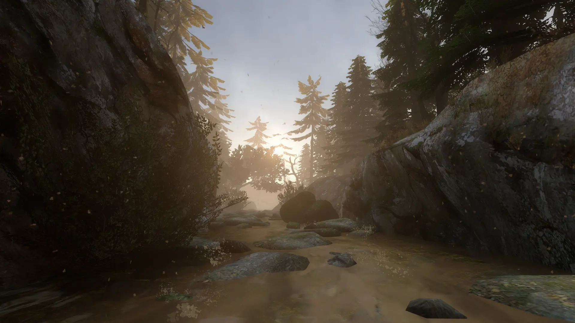 Cold Stream